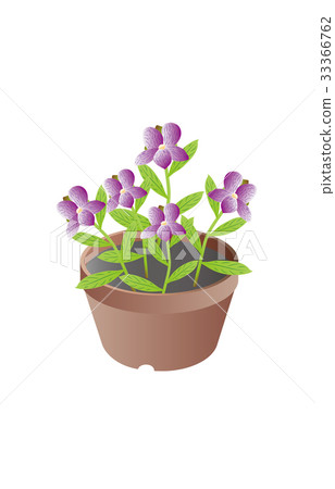 Spring feature violet 33366762