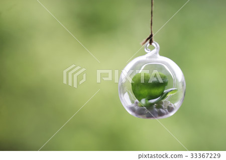 Heart interior 33367229