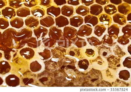 Honeycomb with honey in closeup. 33367824
