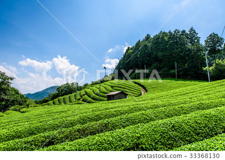 Chabat京都Wazu-cho Uji茶藍天 33368130