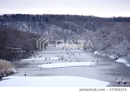 起重機組飛行 33368241