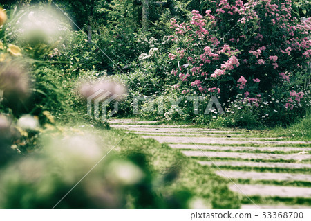 Landscape of the English garden with roses 33368700