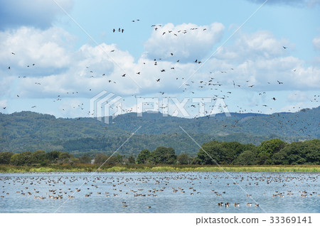 Miyajimanuma of the day 33369141