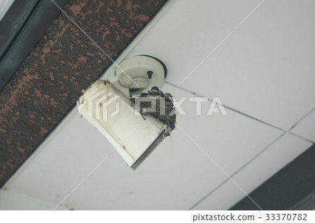 Swallow's nest 33370782