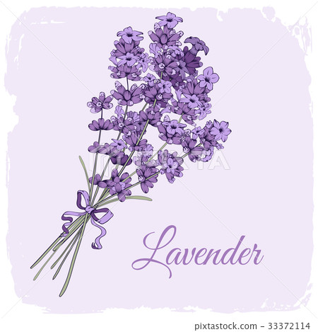 Lavender background - Stock Illustration [33372114] - PIXTA