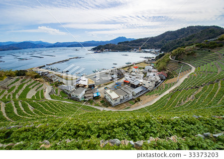 Yuuko Watergoura的Udaiba（愛媛縣宇和島市） 33373203