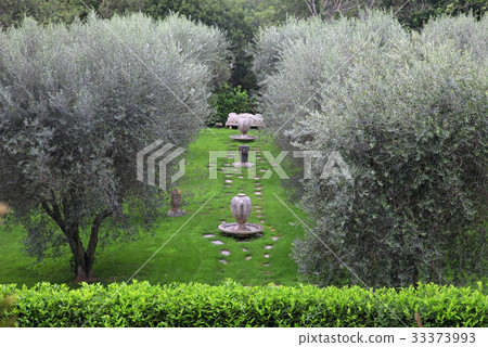 garden and olive trees in Sovana, Tuscany, Italy 33373993