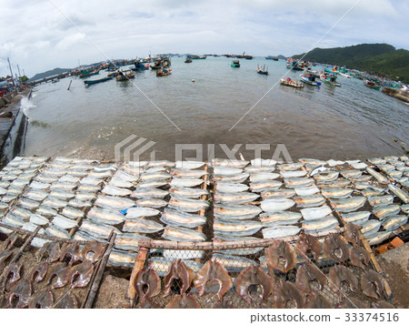 fish drying in the sun in Nam Du island fish drying in the sun in Nam Du island 33374516
