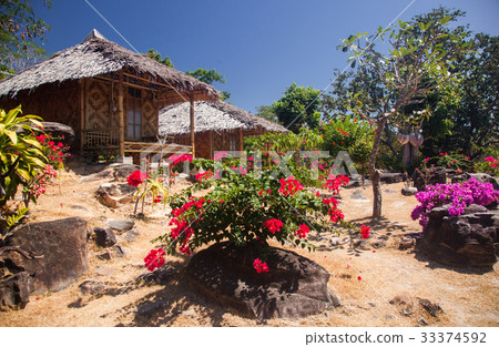 wooden bungalows in tropical garden  33374592