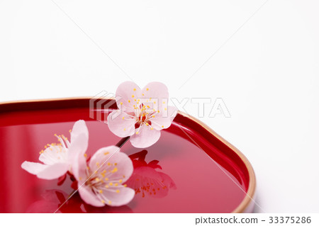 在李子板材的李子開花 33375286