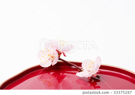 在李子板材的李子開花 33375287