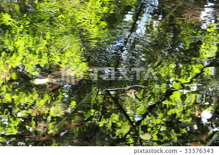 赤城天然花園-Mizusashi池塘 33376343