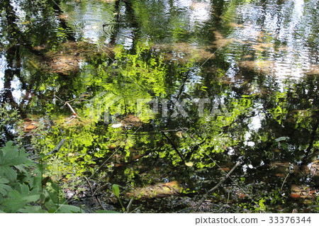 赤城天然花園-Mizusashi池塘 33376344