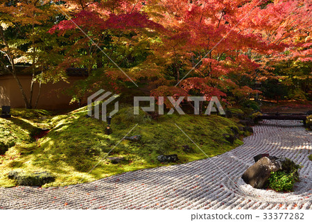 Autumn leaves of Matsushima Enkoin 33377282