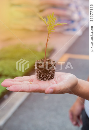 save earth save life by plant the tree save earth save life by plant the tree 33377526