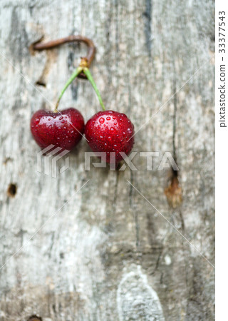 fresh cherries 33377543