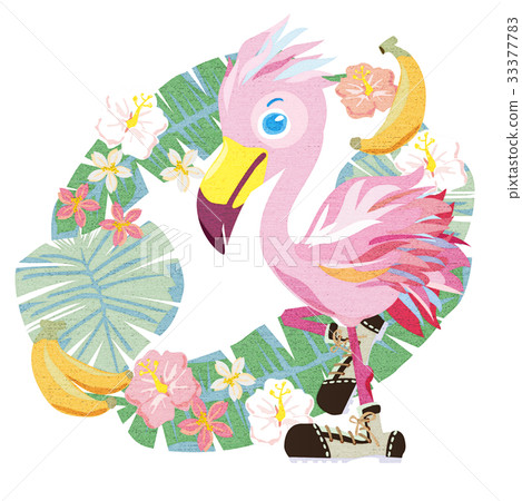 火烈鳥和南國的靴子 33377783