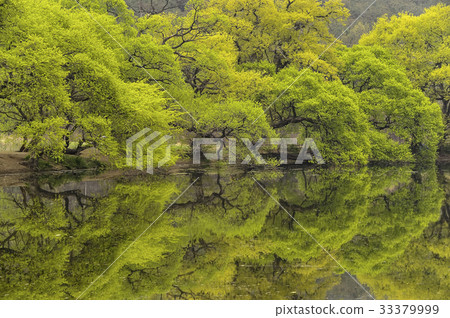 Bongokji, Gyeongsan-si, Gyeongbuk, Korea 33379999