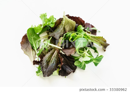 salad leaves salad leaves 33380962