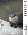 獺 33382646