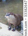 獺 33382647
