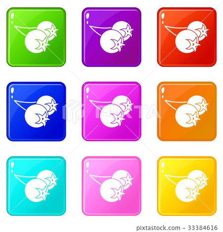 Chokeberry or aronia berry icons 9 set Chokeberry or aronia berry icons 9 set 33384616