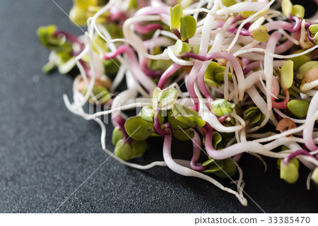 fresh sprouts fresh sprouts 33385470