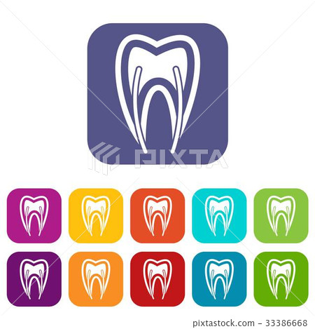 Tooth cross section icons set - Stock Illustration [33386668] - PIXTA