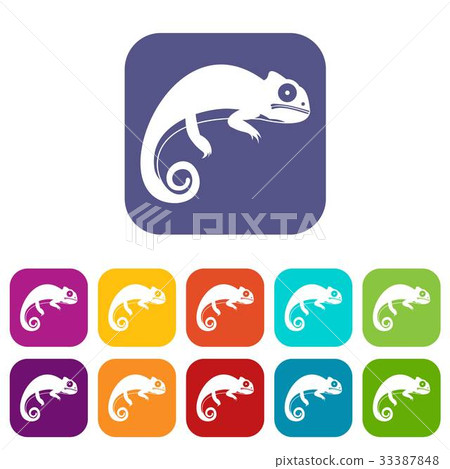 Chameleon icons set Chameleon icons set 33387848