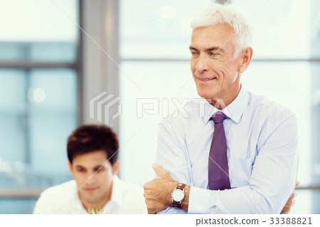 Success and professionalism in person 33388821