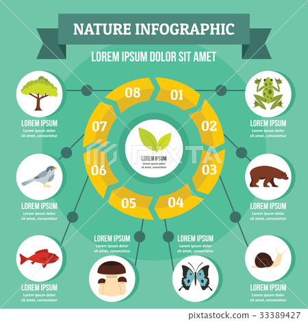 Nature infographic concept, flat style 33389427