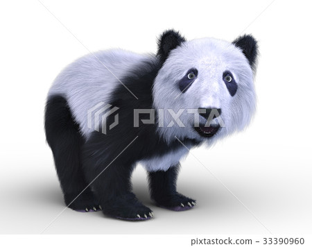 Panda Panda 33390960