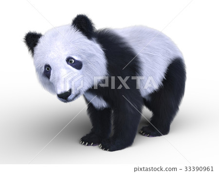 貓熊 貓熊 33390961