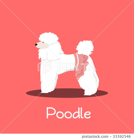 A cute Poodle dog cartoon on pink background. 33392546