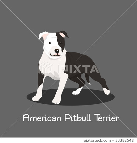 American Pitbull Terrier pet cartoon illustration 33392548