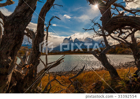 Beautiful autumn in Torres del Paine, Chile 33392554