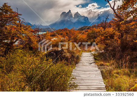 Beautiful autumn in Torres del Paine, Chile 33392560