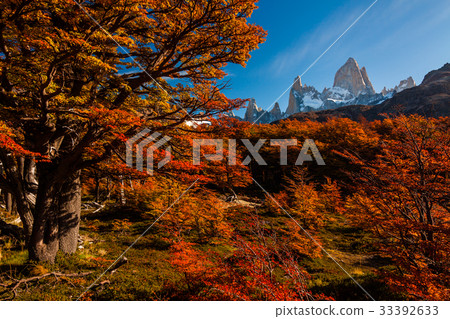 Autumn in Patagonia. Fitz Roy, Argentina Autumn in Patagonia. Fitz Roy, Argentina 33392633