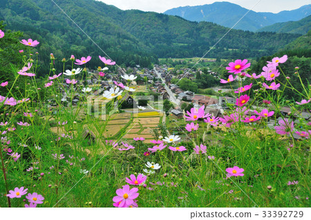 Shirakawago in early autumn 33392729