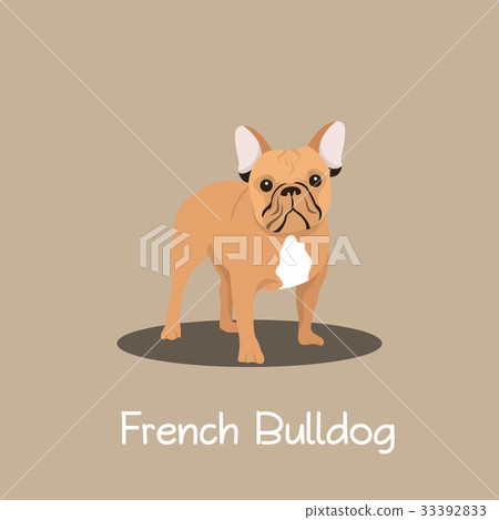 French Bulldog pet cartoon standing illustration French Bulldog pet cartoon standing illustration 33392833