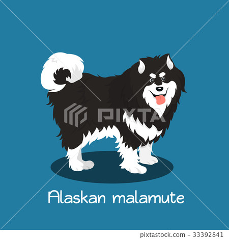 An illustration depicting a cute Alaskan malamute An illustration depicting a cute Alaskan malamute 33392841