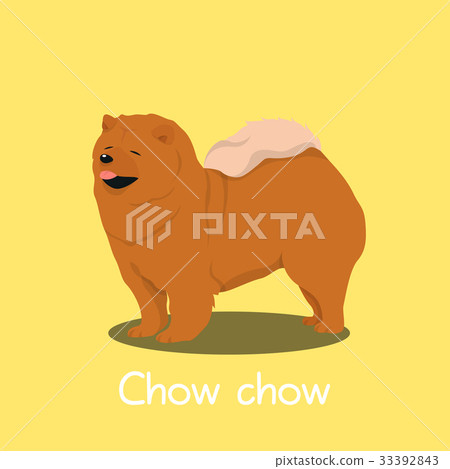 An illustration depicting a cute Chow chow dog 33392843