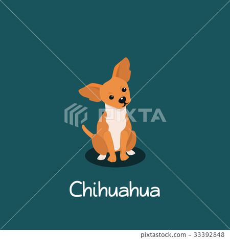 An illustration depicting Chihuahua dog cartoon. 33392848