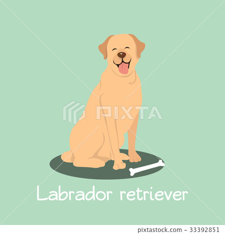 An illustration depicting Labrador retriever dog 33392851