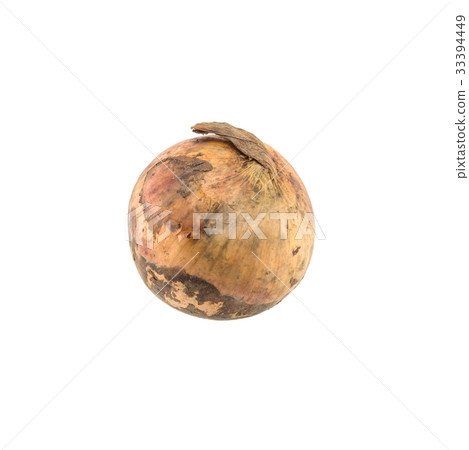 Onion isolated on white background Onion isolated on white background 33394449