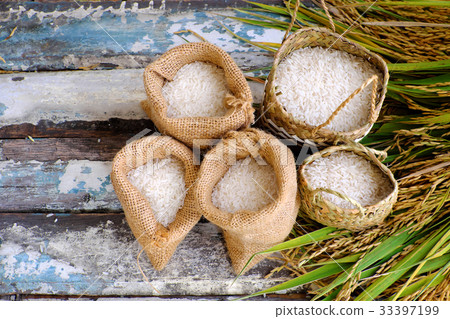 paddy grain and rice seed 33397199