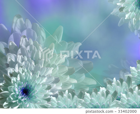 flower on blurry turquoise-blue background bokeh.  33402000