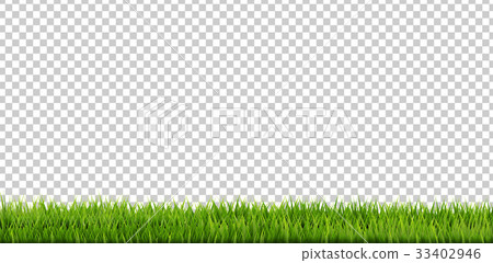 Grass Border 33402946
