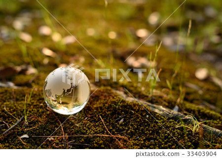 Earth globe ecology image at the root of a tree with a moss 33403904