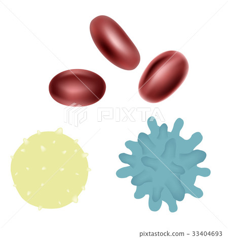 Erythrocyte 33404693